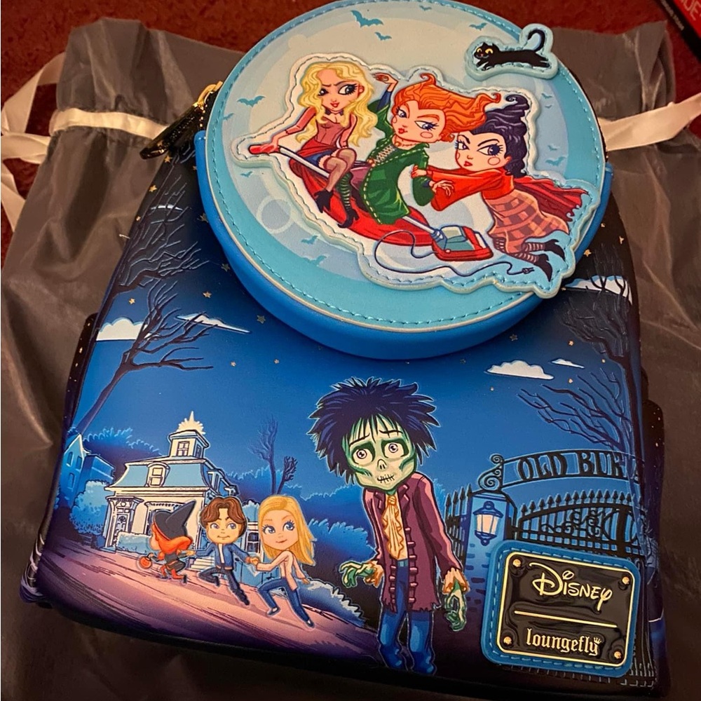 Brand New Hocus Pocus backpack. Purchased last year for $75 but never used it.